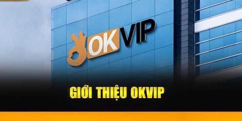 Giới thiệu OKVIP qua các hoạt động tại liên minh